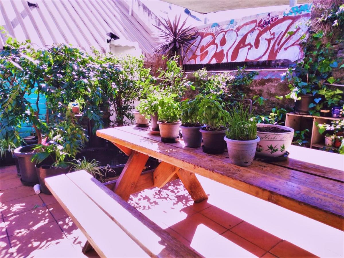 Asylum Sydney Backpackers Hostel Esterno foto
